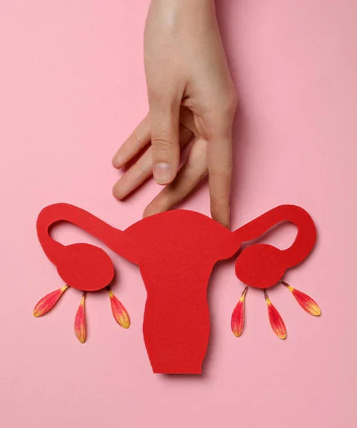 Menstrual Care